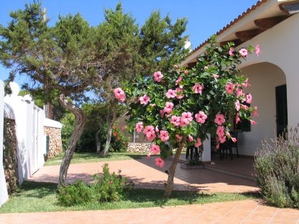 Villa Julia 6