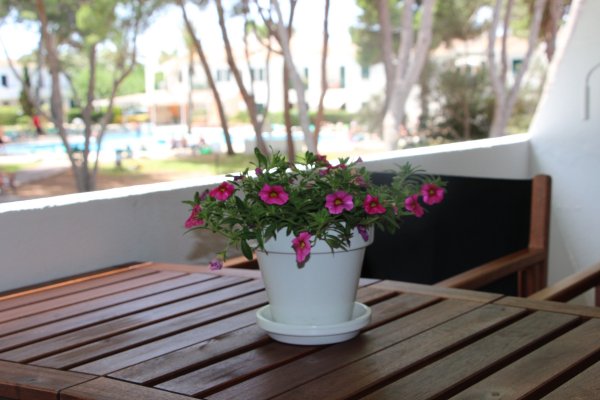 Apartamentos Julieta, Menorca